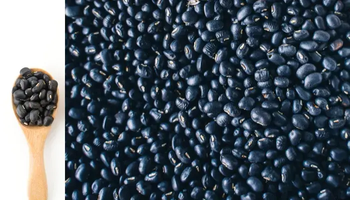 grãos de feijão preto